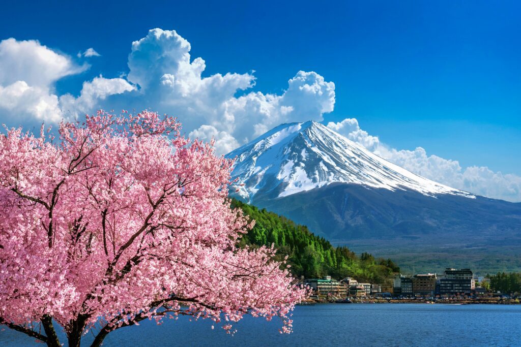 Japan Travel Info
